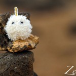 Zeisel am Faro de Toston