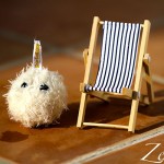 Zeisel trocknet in der Sonne