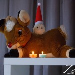 Zeisel wünscht einen schönen 2. Advent